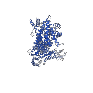 26734_7use_B_v1-1
Cryo-EM structure of WAVE regulatory complex with Rac1 bound on both A and D site