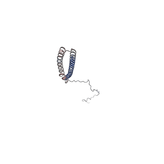 26734_7use_E_v1-1
Cryo-EM structure of WAVE regulatory complex with Rac1 bound on both A and D site
