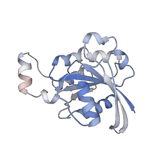 26734_7use_F_v1-1
Cryo-EM structure of WAVE regulatory complex with Rac1 bound on both A and D site