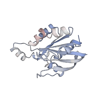 26734_7use_G_v1-1
Cryo-EM structure of WAVE regulatory complex with Rac1 bound on both A and D site