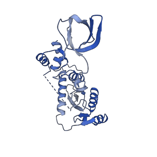 26737_7usf_B_v1-1
Mouse mammary tumor virus strand transfer complex intasome