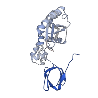 26737_7usf_D_v1-1
Mouse mammary tumor virus strand transfer complex intasome