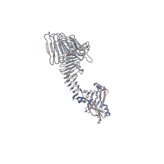 26738_7usl_C_v1-1
Integrin alphaM/beta2 ectodomain in complex with adenylate cyclase toxin RTX751 and M1F5 Fab