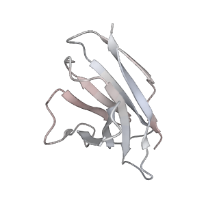 26738_7usl_L_v1-1
Integrin alphaM/beta2 ectodomain in complex with adenylate cyclase toxin RTX751 and M1F5 Fab