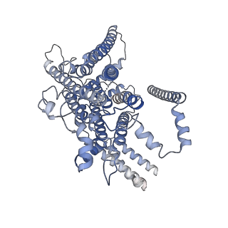 26741_7usw_A_v1-0
Structure of Expanded C. elegans TMC-1 complex