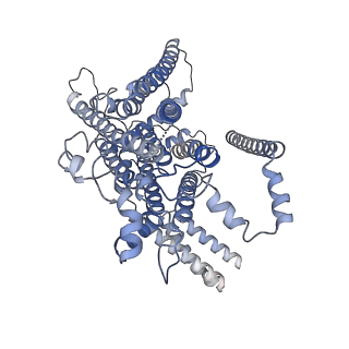 26741_7usw_A_v3-0
Structure of Expanded C. elegans TMC-1 complex