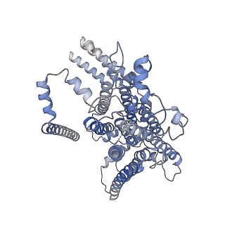 26741_7usw_B_v1-0
Structure of Expanded C. elegans TMC-1 complex