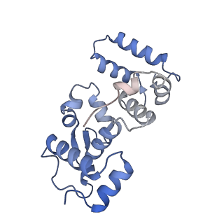 26741_7usw_C_v1-0
Structure of Expanded C. elegans TMC-1 complex