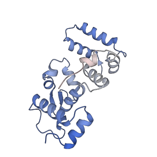 26741_7usw_C_v3-0
Structure of Expanded C. elegans TMC-1 complex