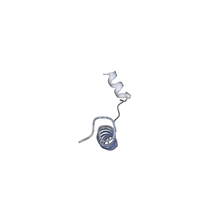 26741_7usw_D_v1-0
Structure of Expanded C. elegans TMC-1 complex