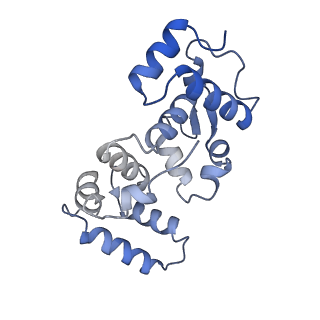26741_7usw_E_v1-0
Structure of Expanded C. elegans TMC-1 complex