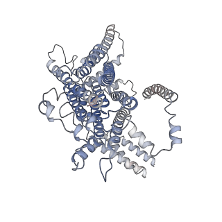 26742_7usx_A_v1-0
Structure of Contracted C. elegans TMC-1 complex