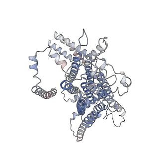 26742_7usx_B_v1-0
Structure of Contracted C. elegans TMC-1 complex