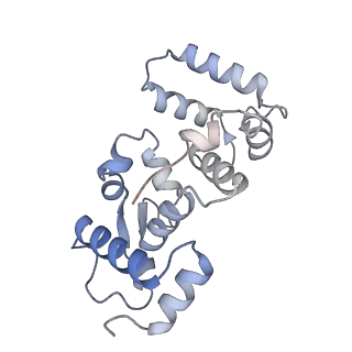 26742_7usx_C_v1-0
Structure of Contracted C. elegans TMC-1 complex