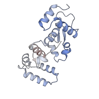 26742_7usx_E_v1-0
Structure of Contracted C. elegans TMC-1 complex