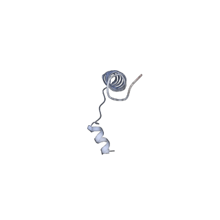 26742_7usx_F_v1-0
Structure of Contracted C. elegans TMC-1 complex