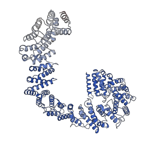 42510_8usp_C_v1-1
Structural and biochemical investigations of a HEAT-repeat protein involved in the cytosolic iron-sulfur cluster assembly pathway