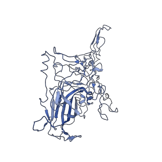 8605_5us9_1_v1-3
Human bocavirus 4