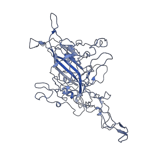 8605_5us9_A_v1-3
Human bocavirus 4