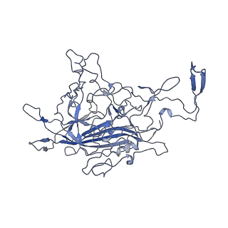 8605_5us9_B_v1-3
Human bocavirus 4