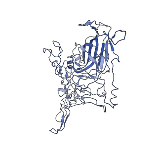 8605_5us9_E_v1-3
Human bocavirus 4