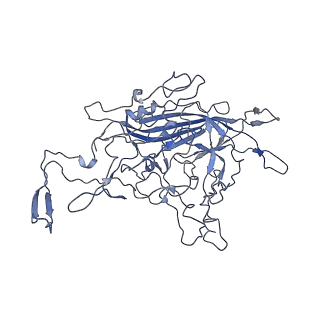 8605_5us9_I_v1-3
Human bocavirus 4