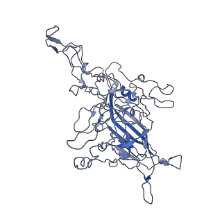 8605_5us9_J_v1-3
Human bocavirus 4