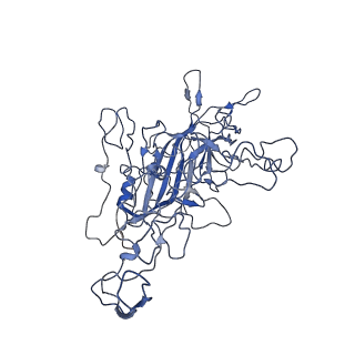 8605_5us9_L_v1-3
Human bocavirus 4