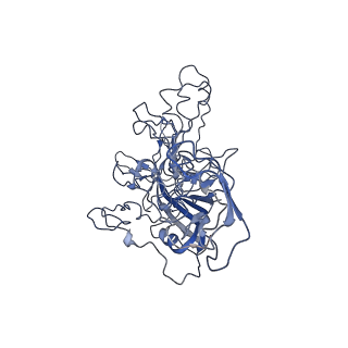 8605_5us9_M_v1-3
Human bocavirus 4