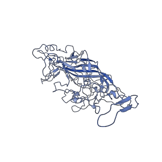 8605_5us9_Q_v1-3
Human bocavirus 4