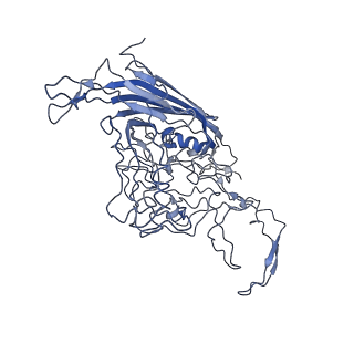 8605_5us9_S_v1-3
Human bocavirus 4