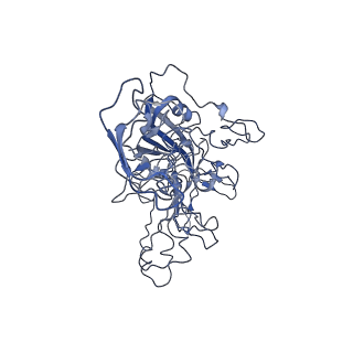 8605_5us9_Y_v1-3
Human bocavirus 4