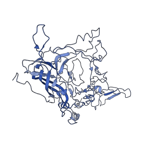 8605_5us9_Z_v1-3
Human bocavirus 4