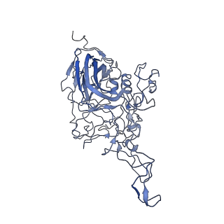 8605_5us9_a_v1-3
Human bocavirus 4