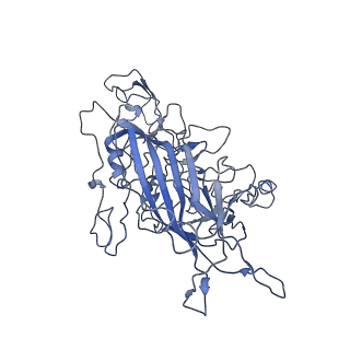 8605_5us9_c_v1-3
Human bocavirus 4