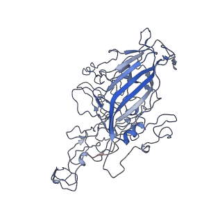 8605_5us9_e_v1-3
Human bocavirus 4