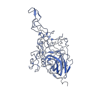 8605_5us9_l_v1-3
Human bocavirus 4