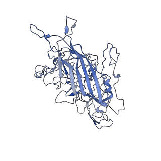 8605_5us9_s_v1-3
Human bocavirus 4