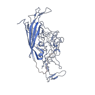 8605_5us9_v_v1-3
Human bocavirus 4