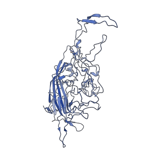 8605_5us9_x_v1-3
Human bocavirus 4