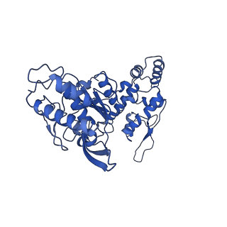 20865_6ut4_A_v1-1
Cryo-EM structure of the asymmetric AAA+ domain hexamer from Thermococcus gammatolerans McrB