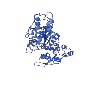 20865_6ut4_B_v1-1
Cryo-EM structure of the asymmetric AAA+ domain hexamer from Thermococcus gammatolerans McrB