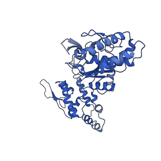 20865_6ut4_C_v1-0
Cryo-EM structure of the asymmetric AAA+ domain hexamer from Thermococcus gammatolerans McrB