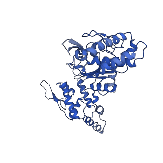 20865_6ut4_C_v1-1
Cryo-EM structure of the asymmetric AAA+ domain hexamer from Thermococcus gammatolerans McrB