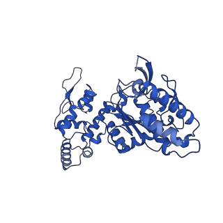 20865_6ut4_D_v1-0
Cryo-EM structure of the asymmetric AAA+ domain hexamer from Thermococcus gammatolerans McrB