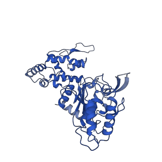 20865_6ut4_E_v1-1
Cryo-EM structure of the asymmetric AAA+ domain hexamer from Thermococcus gammatolerans McrB