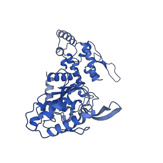 20865_6ut4_F_v1-0
Cryo-EM structure of the asymmetric AAA+ domain hexamer from Thermococcus gammatolerans McrB
