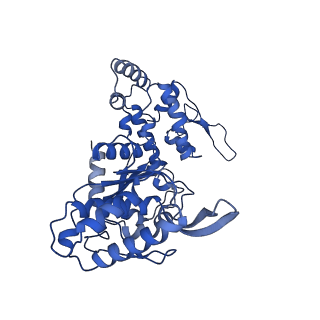 20865_6ut4_F_v1-1
Cryo-EM structure of the asymmetric AAA+ domain hexamer from Thermococcus gammatolerans McrB