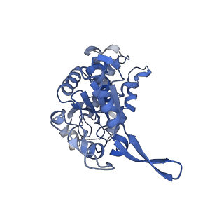 20867_6ut6_A_v1-0
Cryo-EM structure of the Escherichia coli McrBC complex