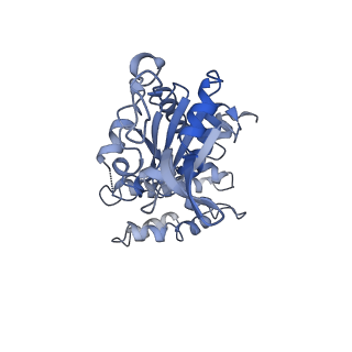 20867_6ut6_B_v1-0
Cryo-EM structure of the Escherichia coli McrBC complex